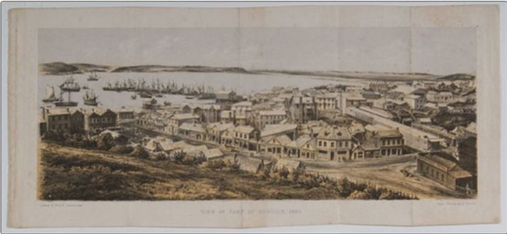 Hocken Collection Dunedin 1862