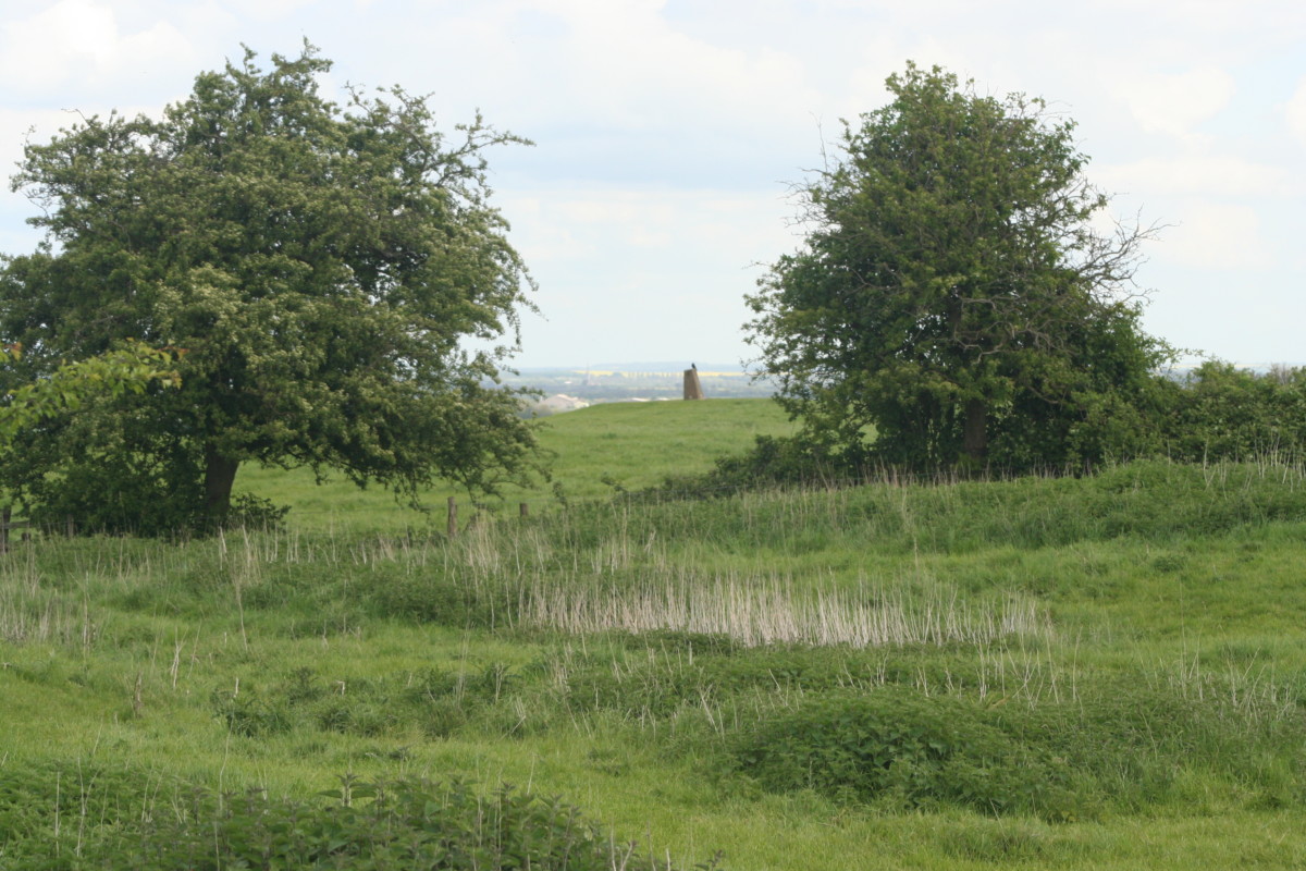 Trigpoint; Hickling Standard May 2014