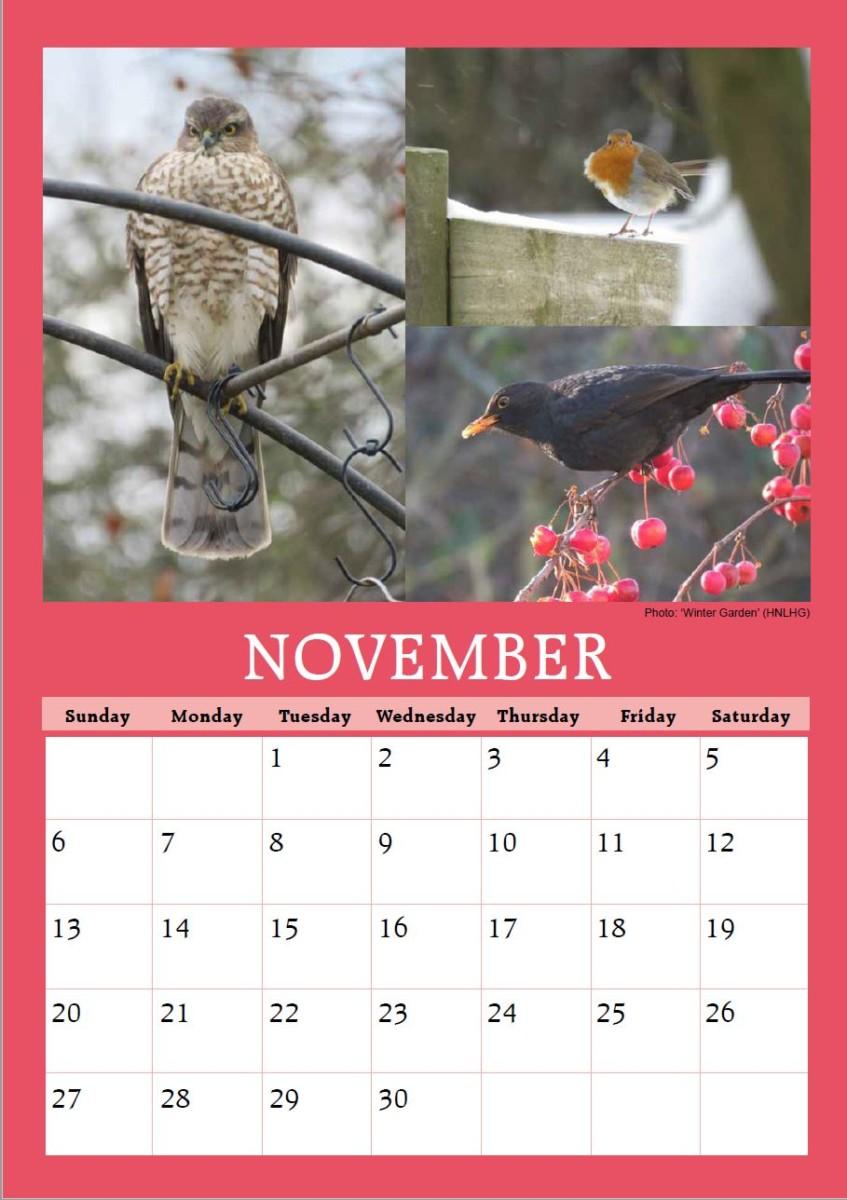 Hickling Calendar 2022 wildlife & animals
