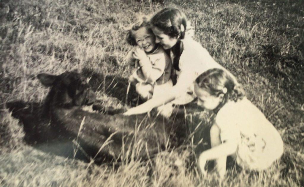 11a visit c.1950 Avril with sisters & calf