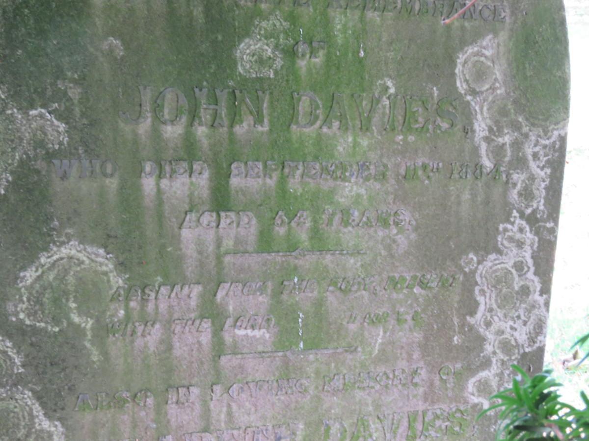 Graveyard Census: Davis/Davies family